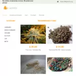 Synthetic Drugs buy TOR SHOP