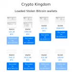 Crypto Kingdom - Loaded Bitcoin Stolen wallets